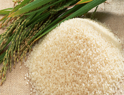 SWARNA MASOORI RICE
