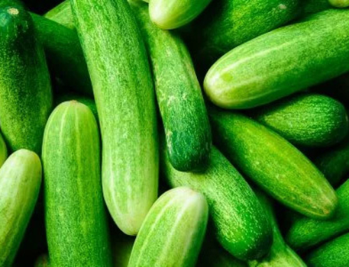 CUCUMBER