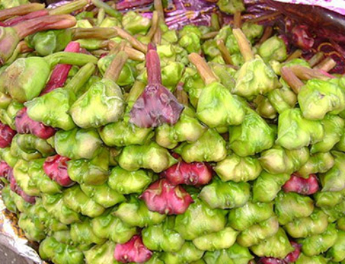 WATER CHESTNUT
