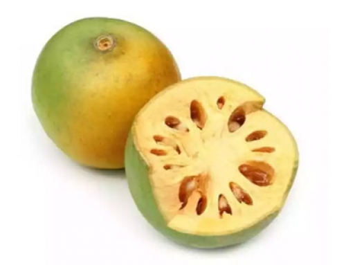 WOOD APPLE